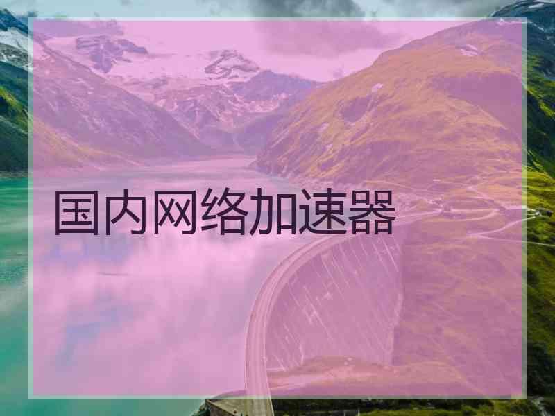 国内网络加速器