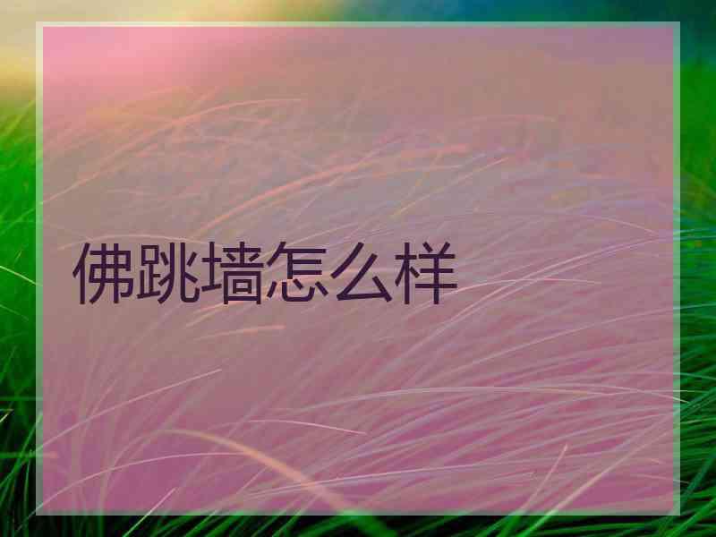 佛跳墙怎么样