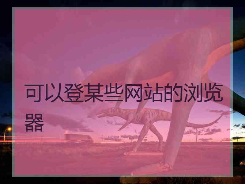 可以登某些网站的浏览器