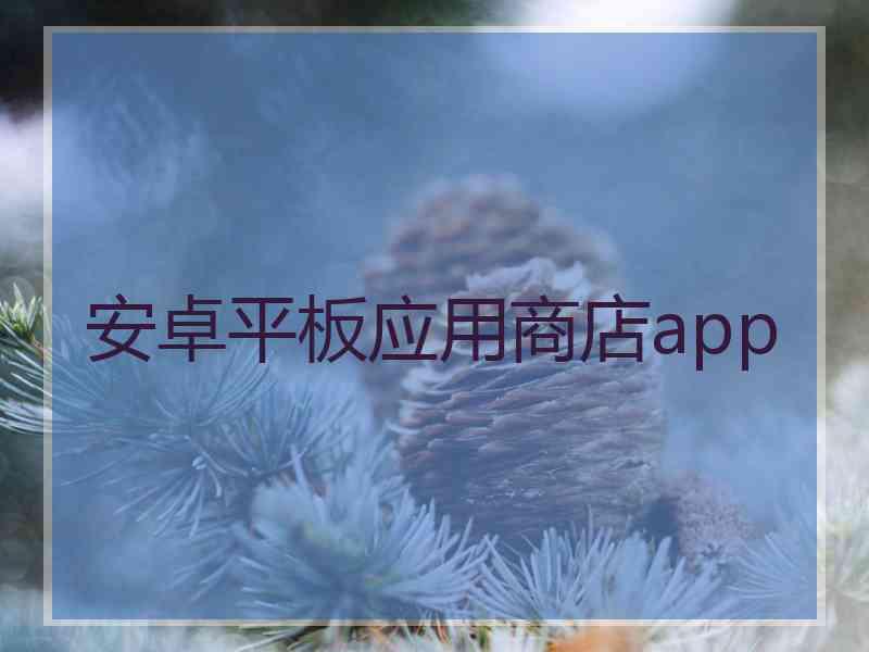 安卓平板应用商店app