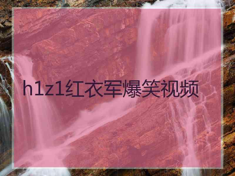 h1z1红衣军爆笑视频
