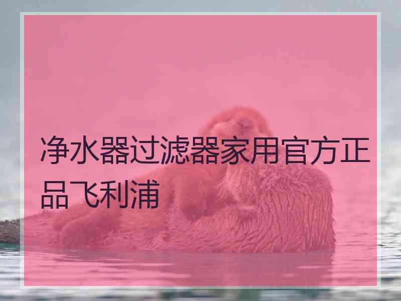 净水器过滤器家用官方正品飞利浦