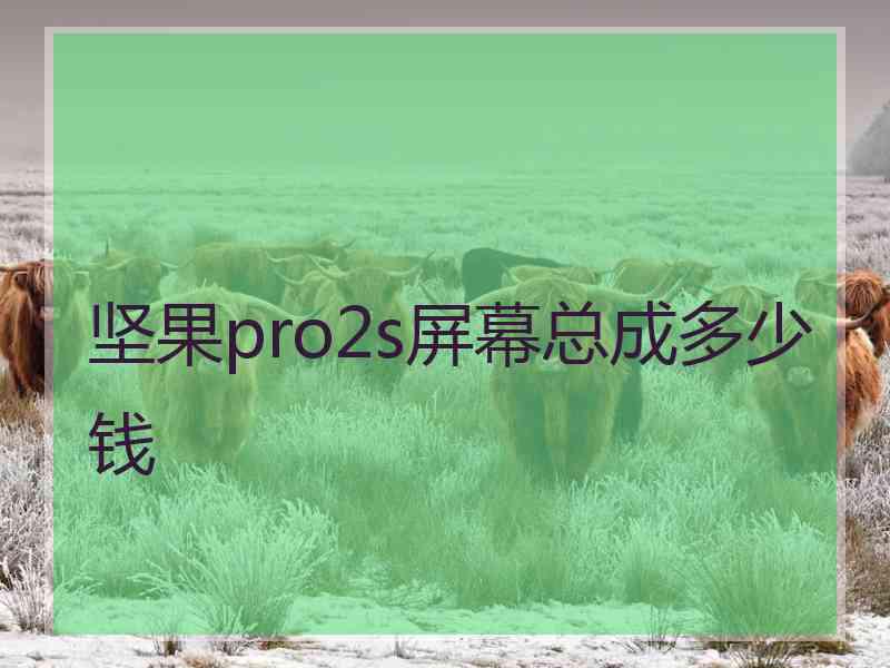 坚果pro2s屏幕总成多少钱