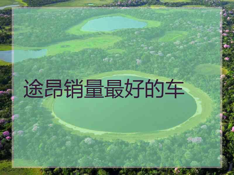 途昂销量最好的车