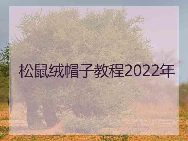松鼠绒帽子教程2022年