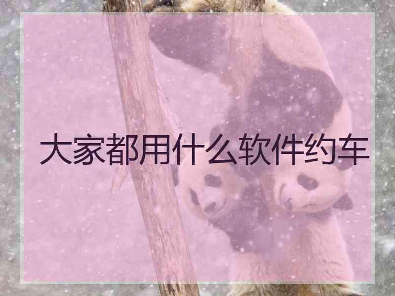 大家都用什么软件约车