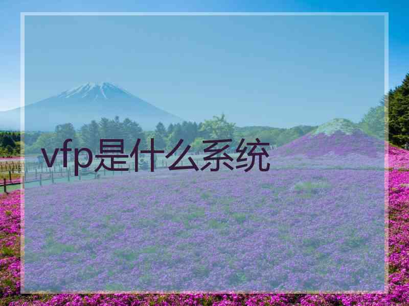 vfp是什么系统