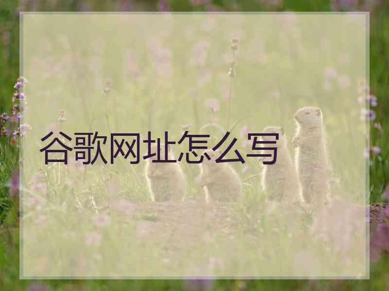 谷歌网址怎么写