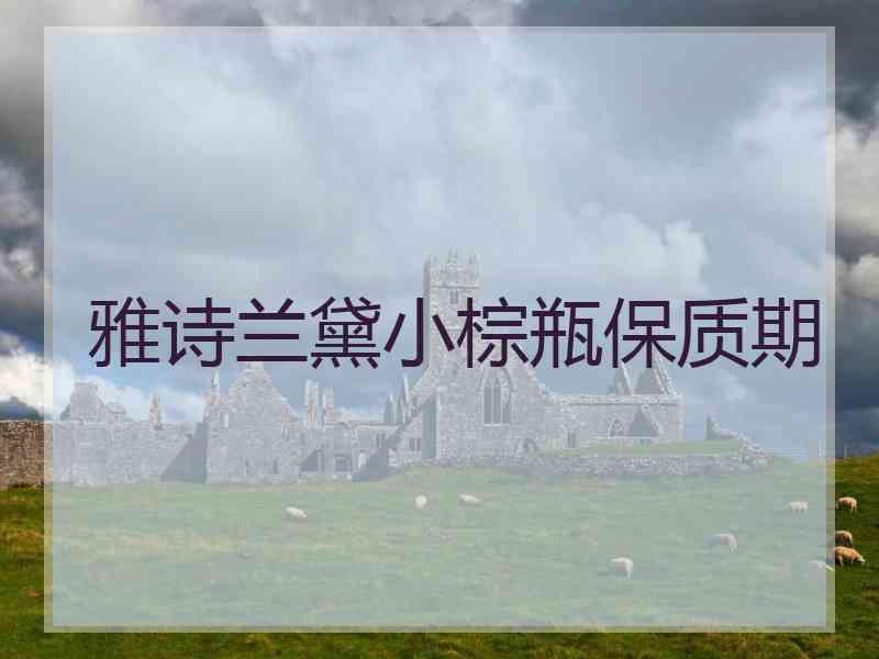 雅诗兰黛小棕瓶保质期