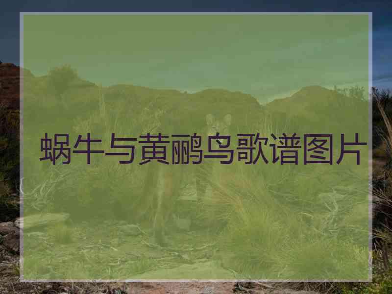 蜗牛与黄鹂鸟歌谱图片