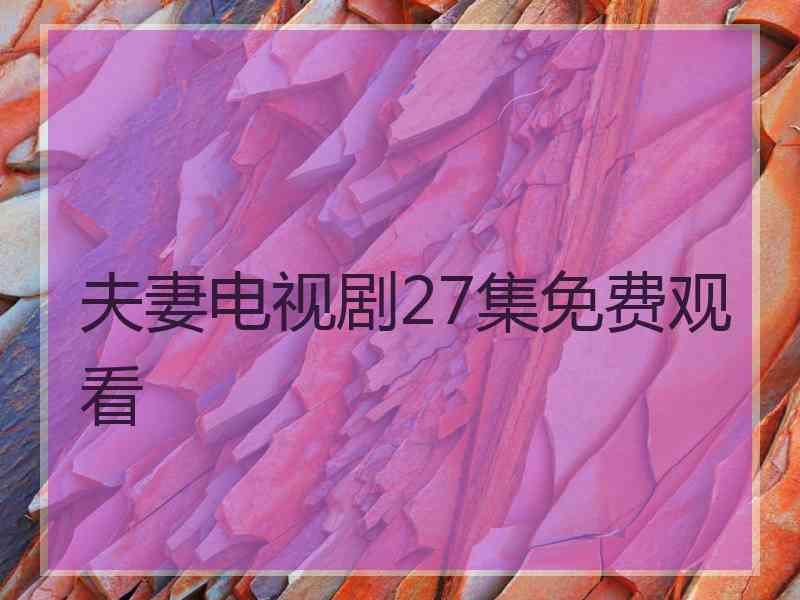 夫妻电视剧27集免费观看
