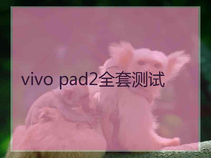 vivo pad2全套测试
