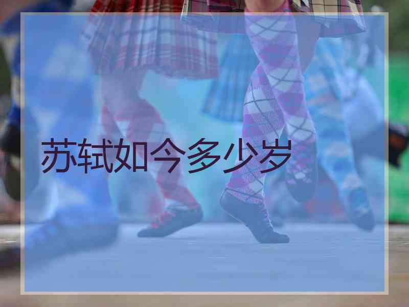苏轼如今多少岁