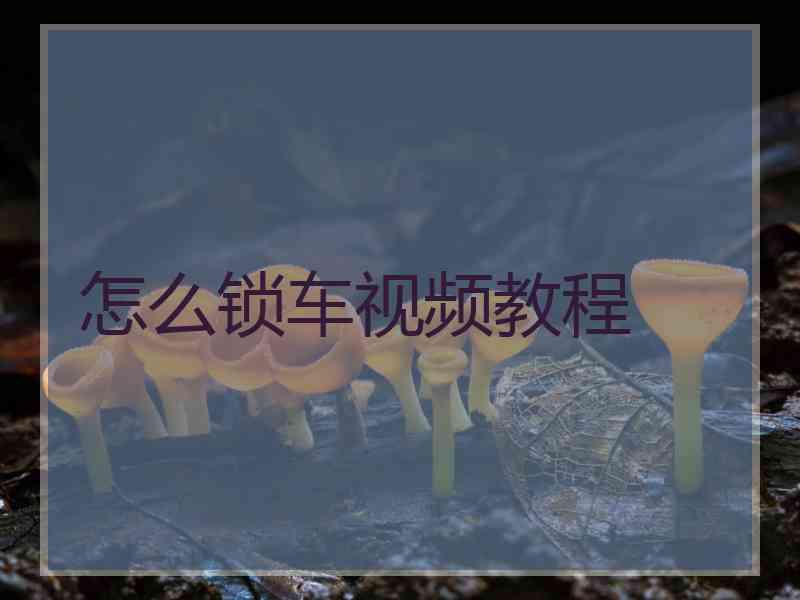 怎么锁车视频教程