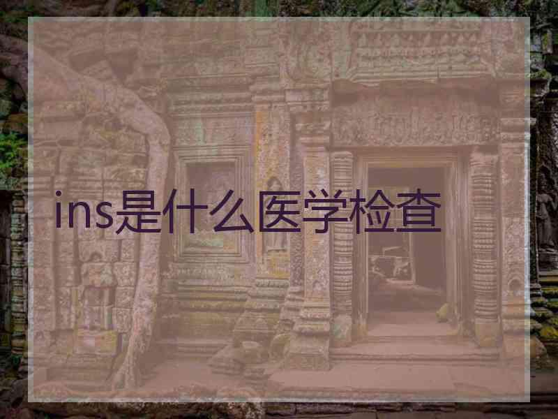 ins是什么医学检查