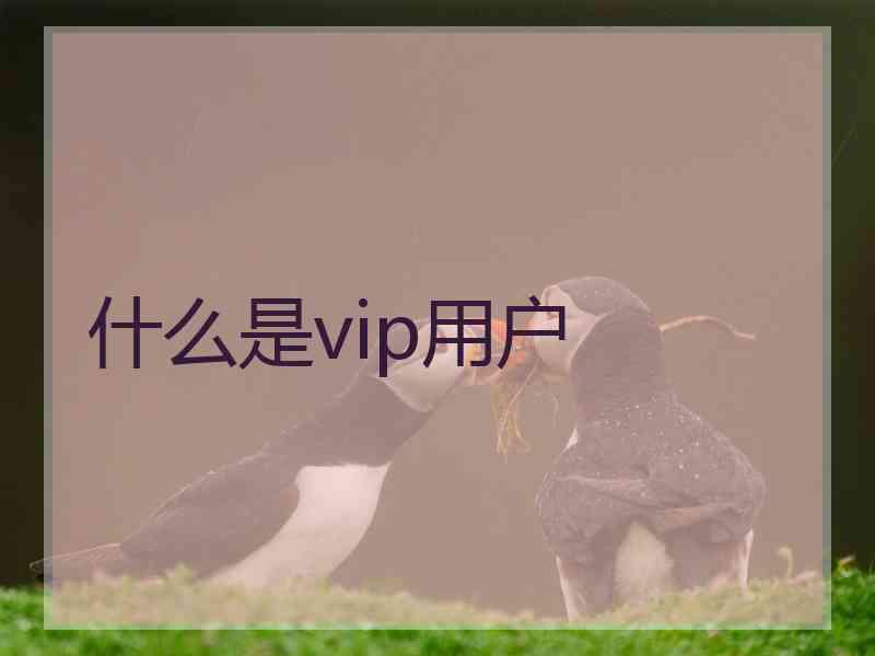 什么是vip用户