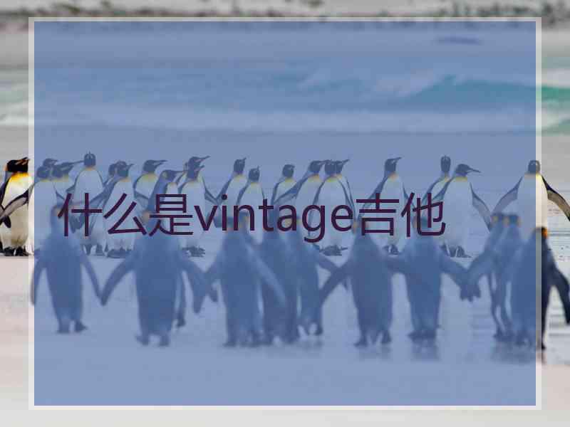 什么是vintage吉他