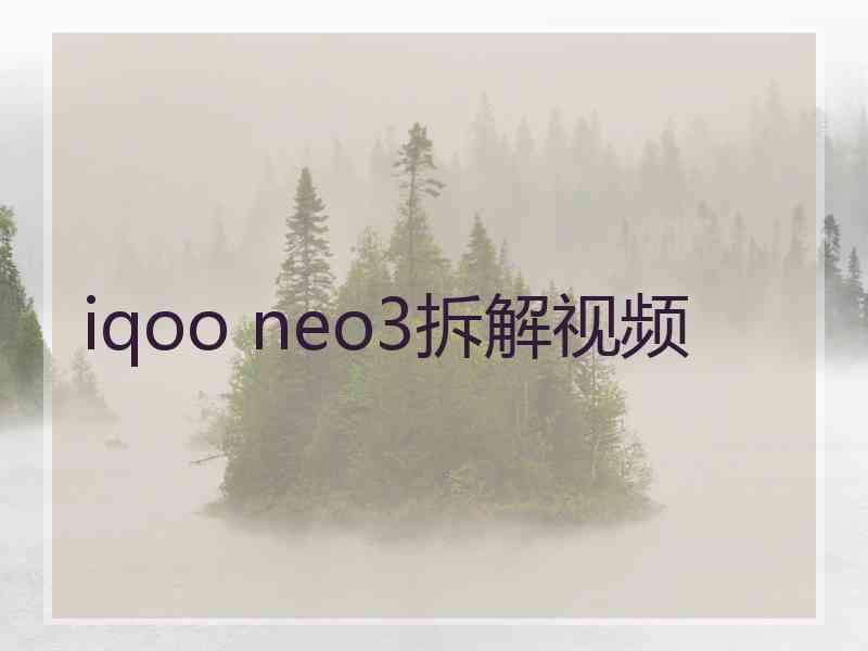 iqoo neo3拆解视频