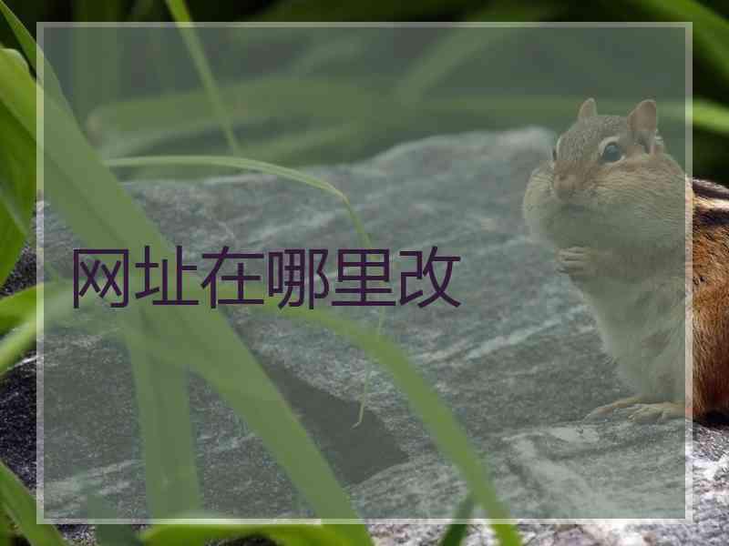 网址在哪里改