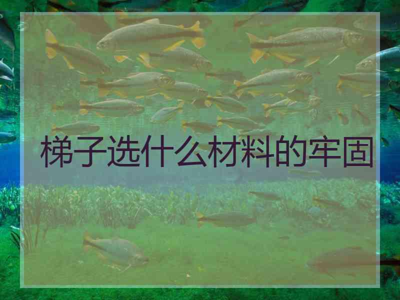 梯子选什么材料的牢固