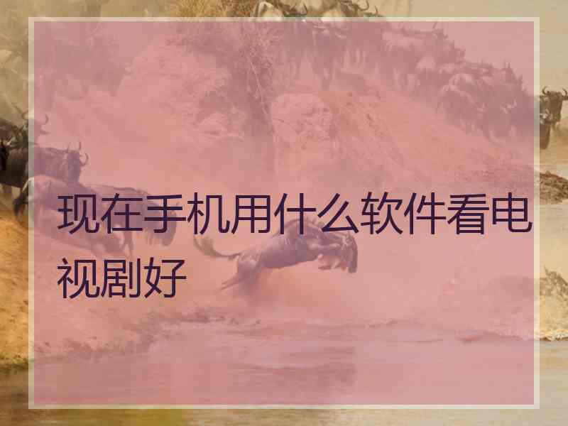 现在手机用什么软件看电视剧好