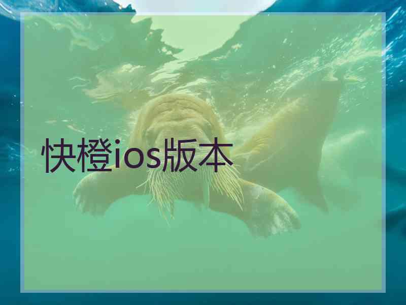 快橙ios版本