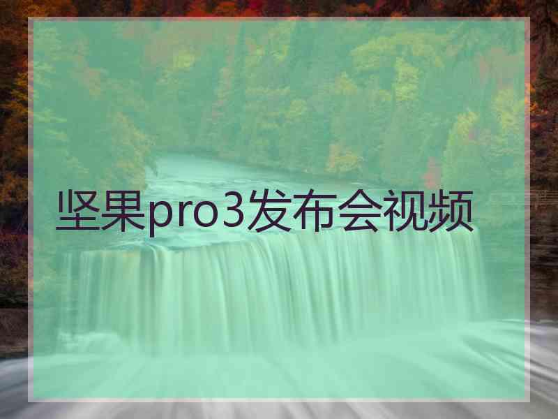 坚果pro3发布会视频