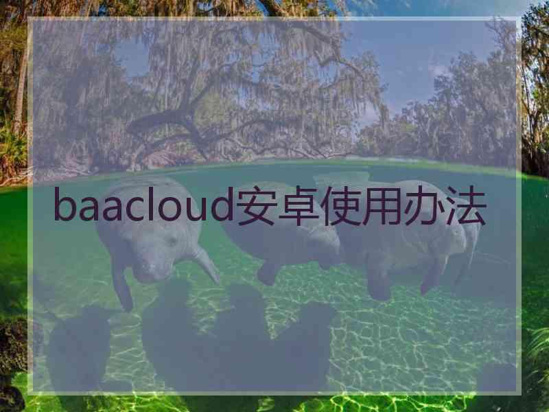 baacloud安卓使用办法