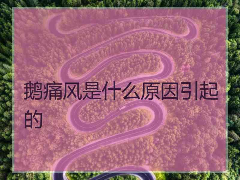 鹅痛风是什么原因引起的