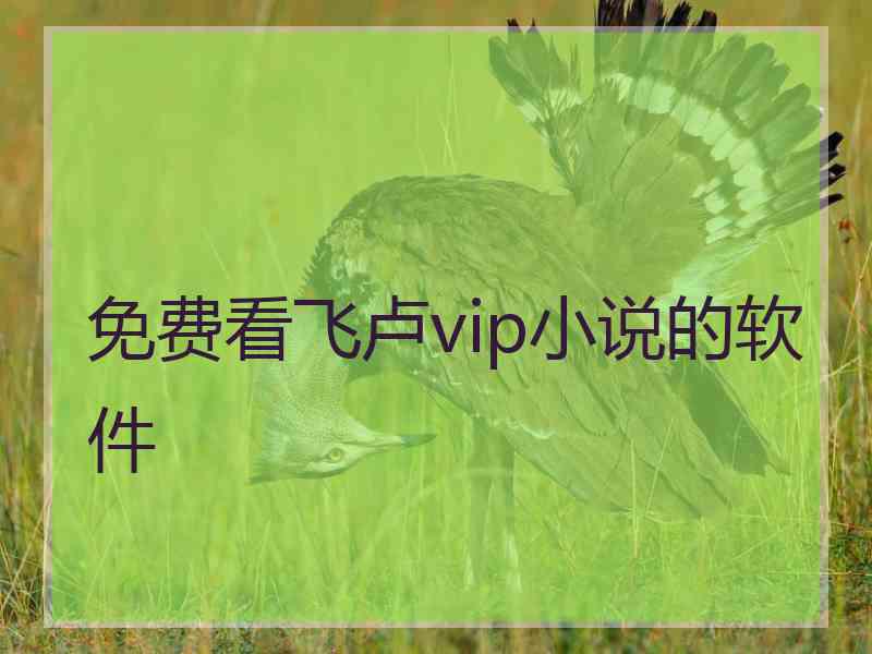 免费看飞卢vip小说的软件