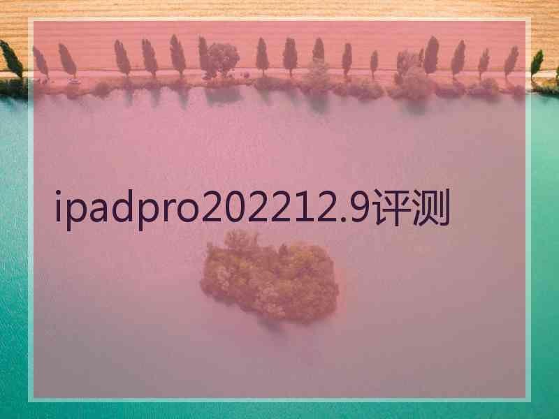 ipadpro202212.9评测