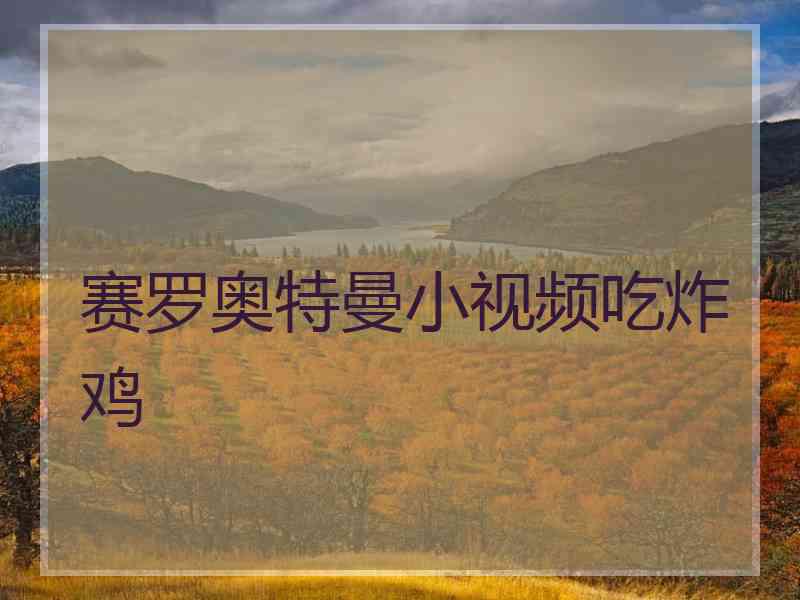 赛罗奥特曼小视频吃炸鸡
