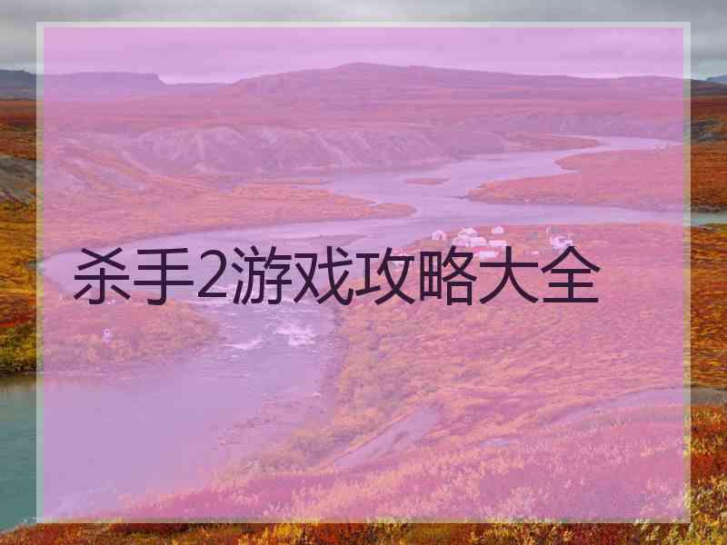 杀手2游戏攻略大全
