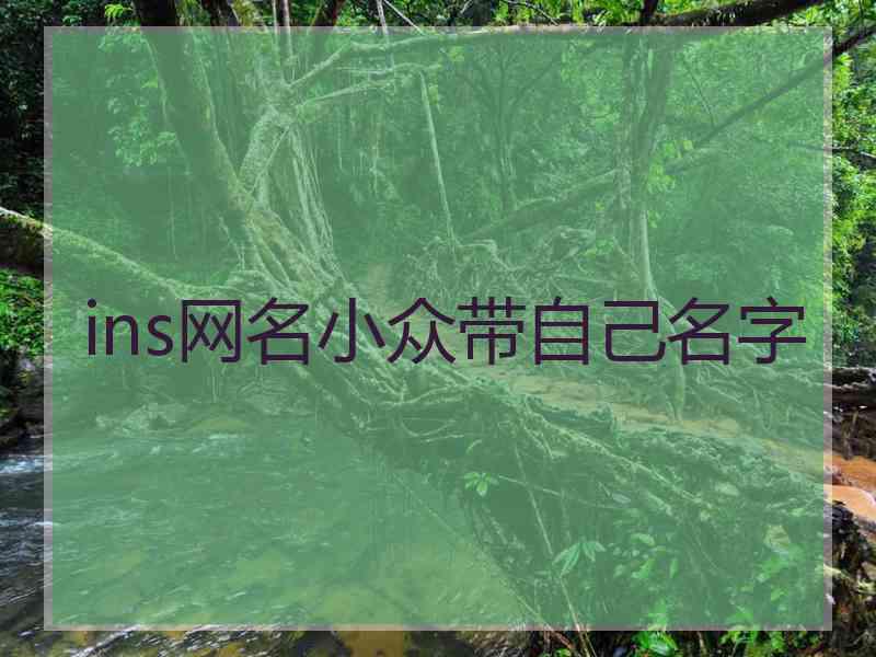 ins网名小众带自己名字