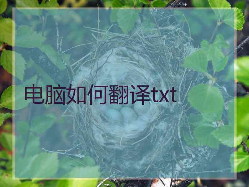 电脑如何翻译txt