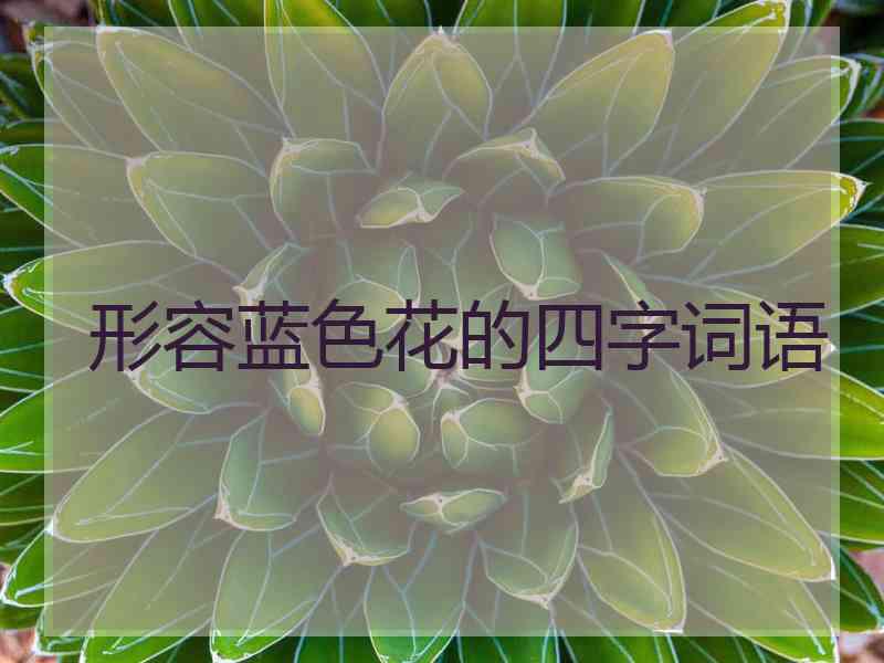 形容蓝色花的四字词语