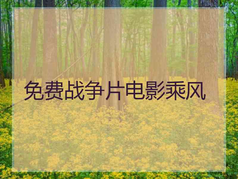 免费战争片电影乘风