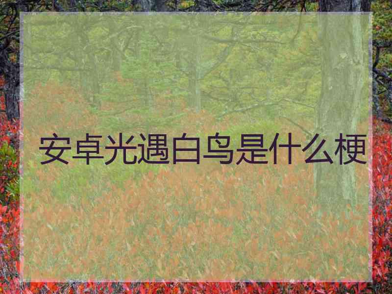安卓光遇白鸟是什么梗