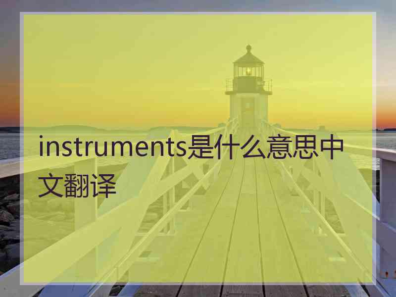 instruments是什么意思中文翻译