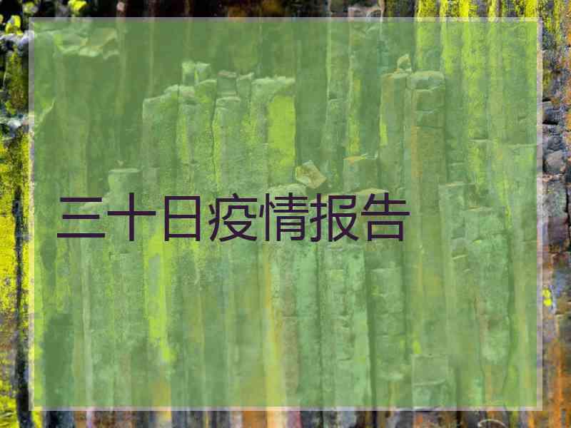 三十日疫情报告