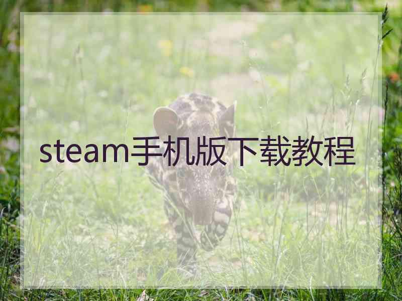 steam手机版下载教程