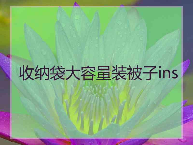 收纳袋大容量装被子ins