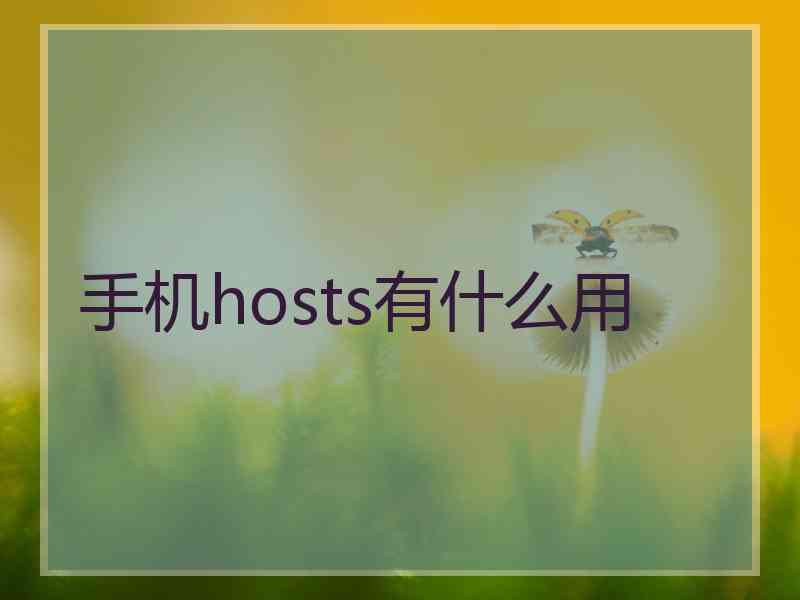 手机hosts有什么用