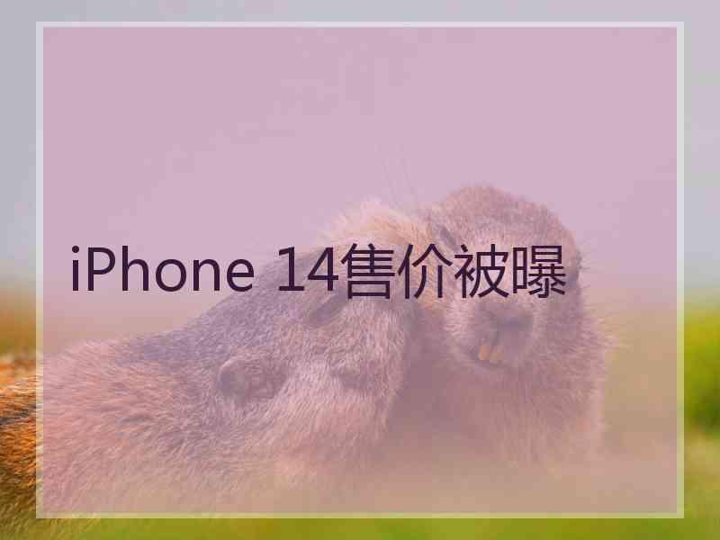 iPhone 14售价被曝