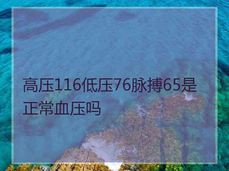高压116低压76脉搏65是正常血压吗