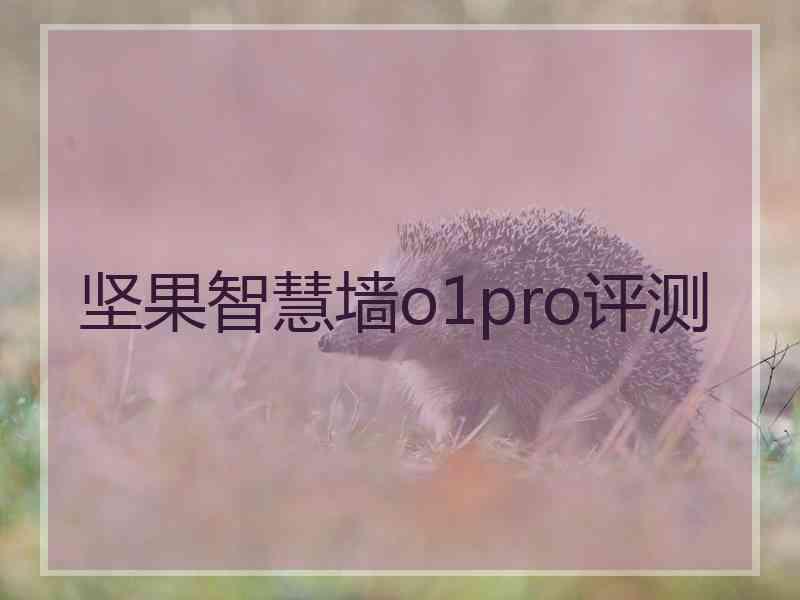 坚果智慧墙o1pro评测