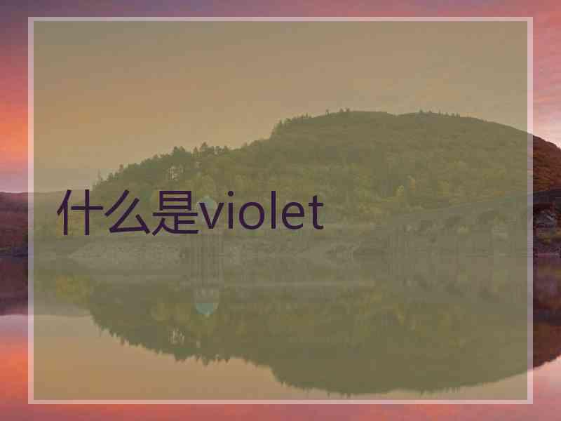 什么是violet