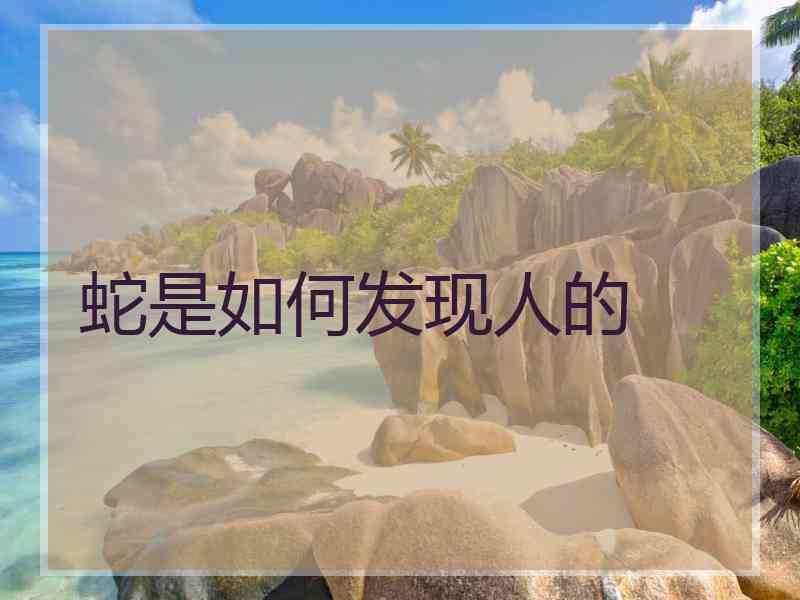 蛇是如何发现人的