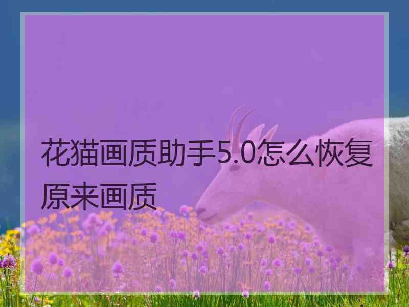 花猫画质助手5.0怎么恢复原来画质