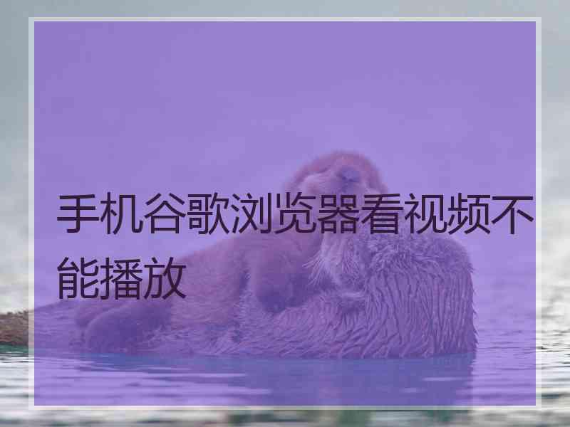 手机谷歌浏览器看视频不能播放
